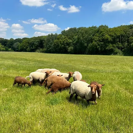 Loft Bardot - Luxe & Design Holiday home Gheer